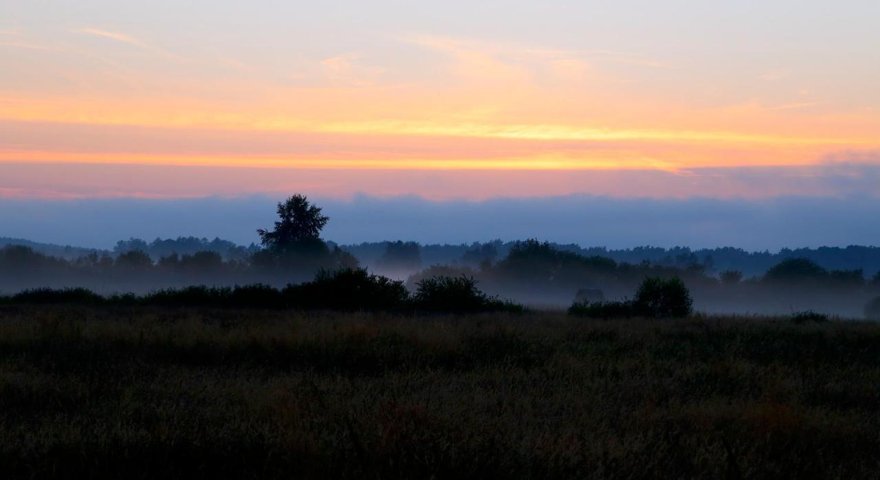 Slowinskie Widoki Domki Flora, Fauna, Noclegi Smoldzinski Las Exterior photo