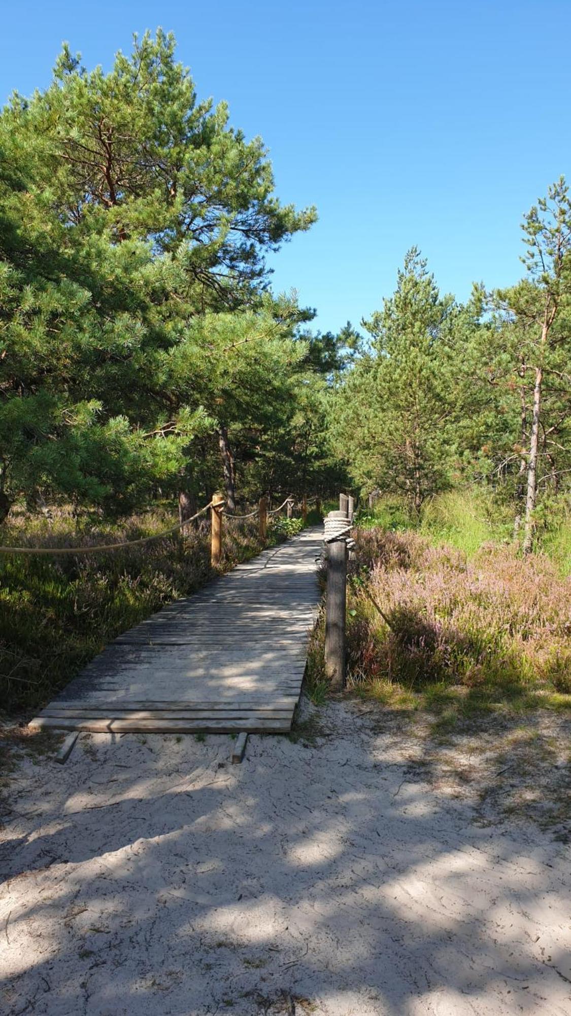 Slowinskie Widoki Domki Flora, Fauna, Noclegi Smoldzinski Las Exterior photo